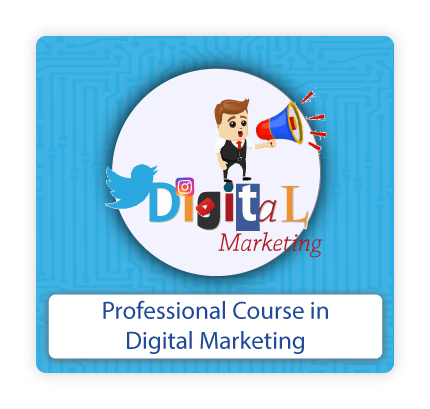 Professional Course in Digital Marketing